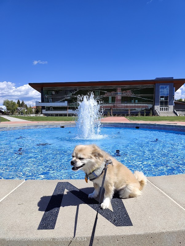 Western Colorado University campus photo 5