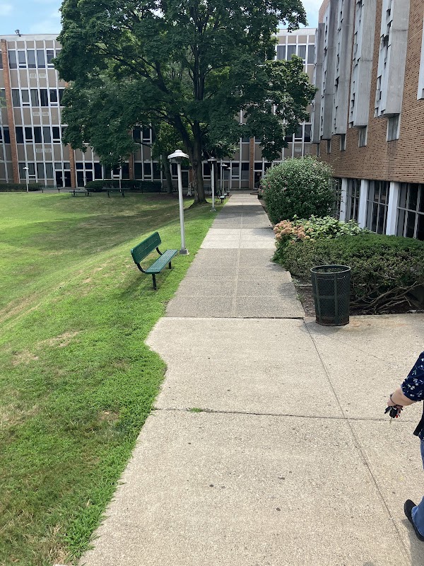 Felician University campus photo 5