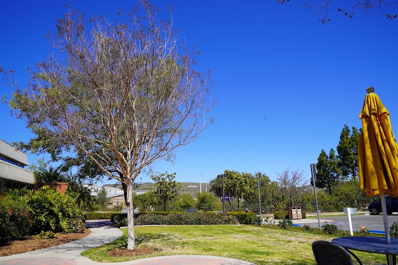 California Lutheran University campus photo 3