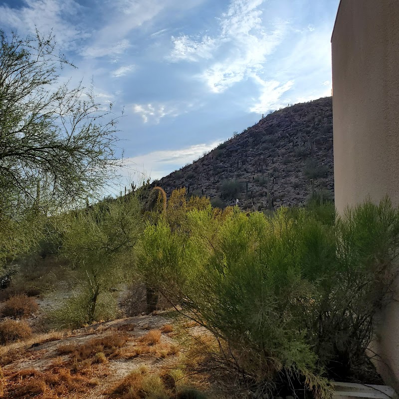 Central Arizona College campus photo 5
