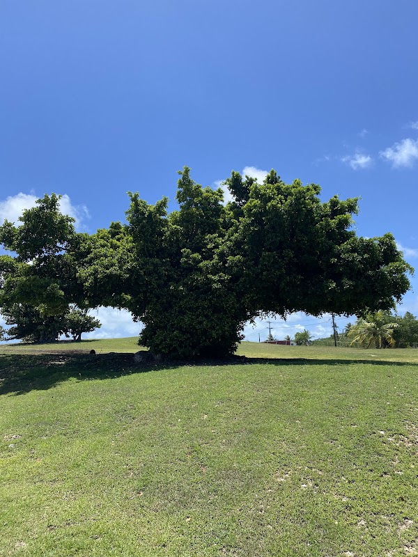 Northern Marianas College campus photo 1