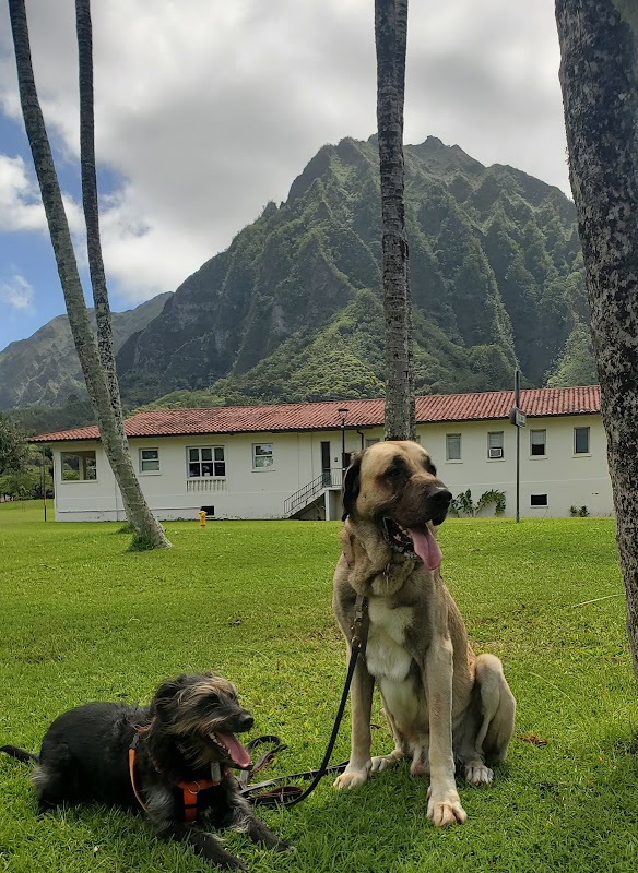 Windward Community College campus photo 2