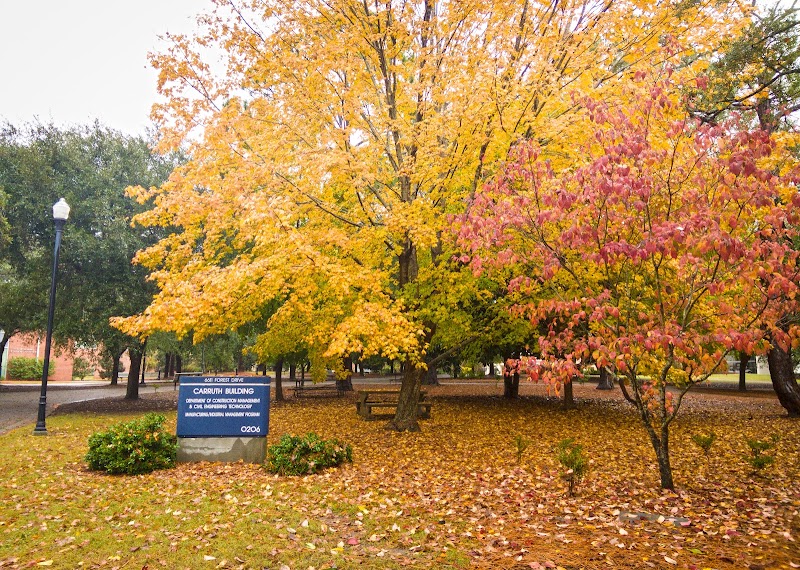 Georgia Southern University campus photo 4