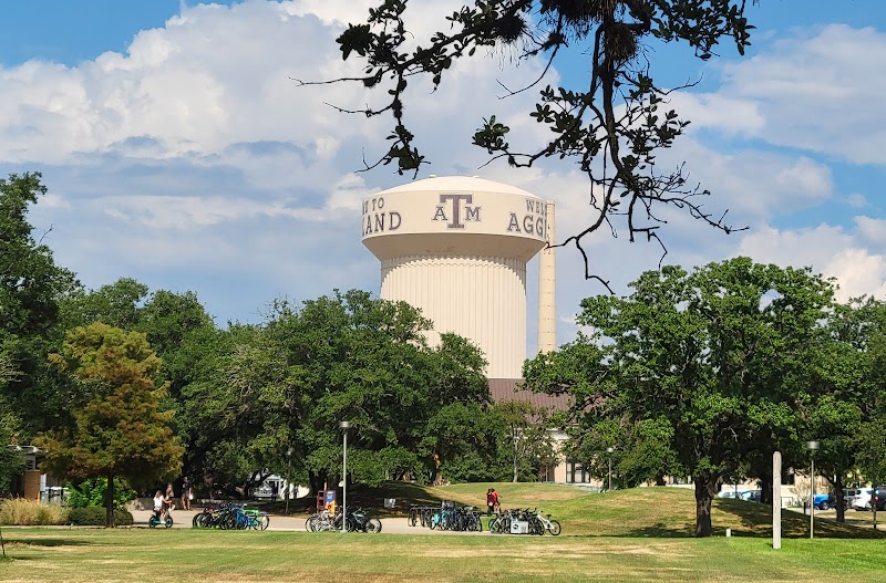 Texas A & M University-College Station campus photo 3