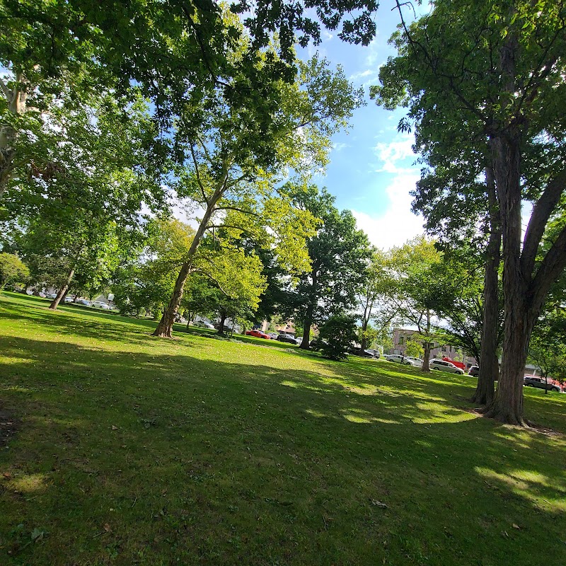 Oberlin College campus photo 4