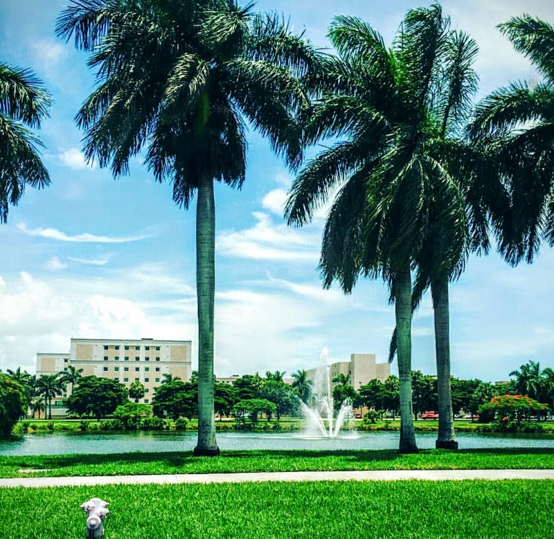 Florida Atlantic University campus photo 2