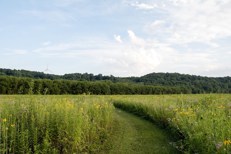 Luther College campus photo 5