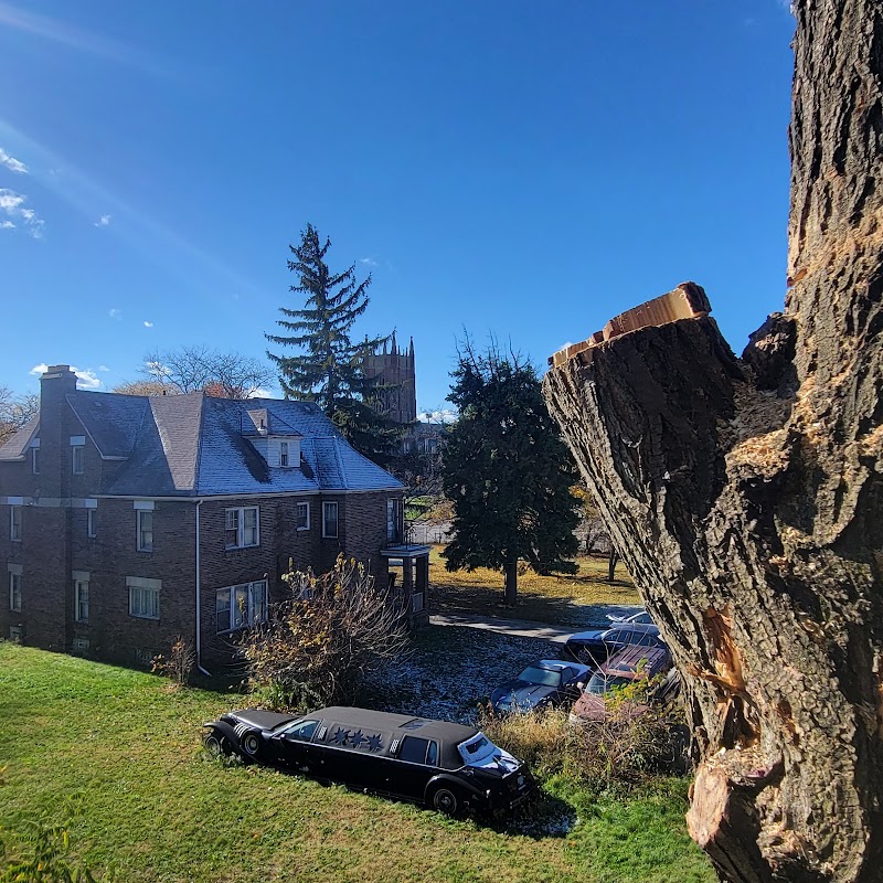 Sacred Heart Major Seminary campus photo 5