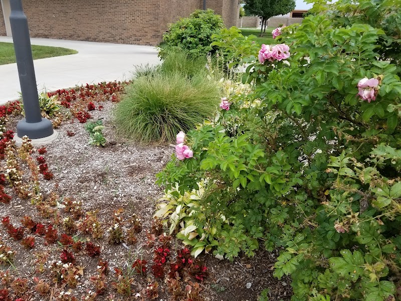Henry Ford College campus photo 4