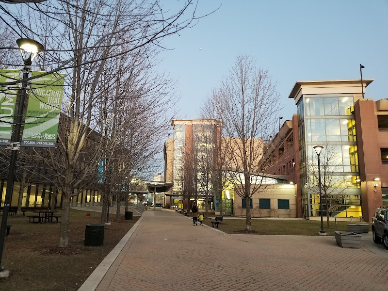City Colleges of Chicago-Harry S Truman College campus photo 5