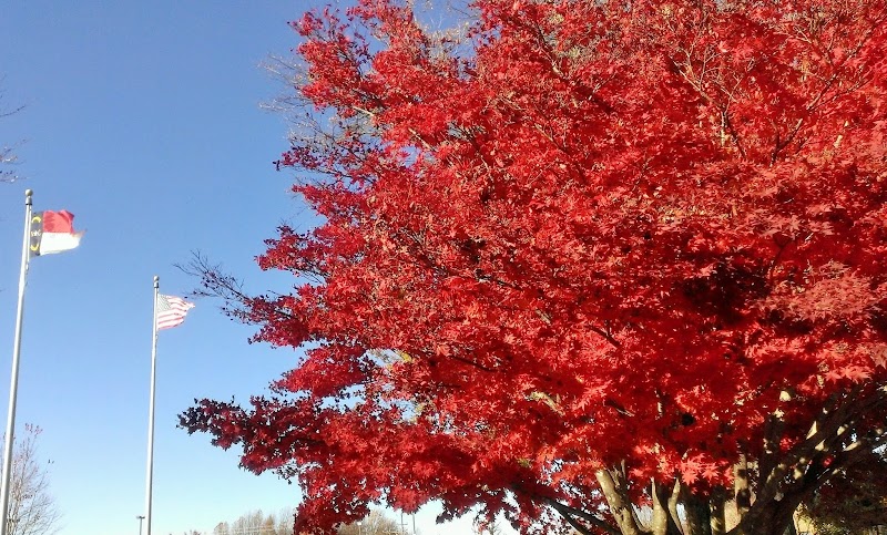 Randolph Community College campus photo 3
