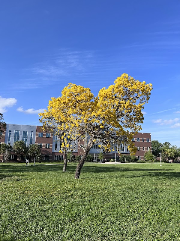 University of Central Florida campus photo 3