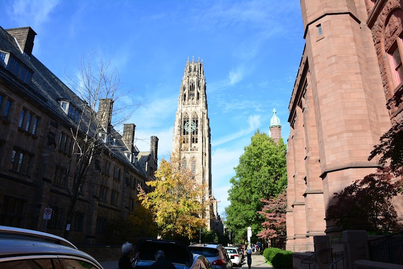 Yale University campus photo 5