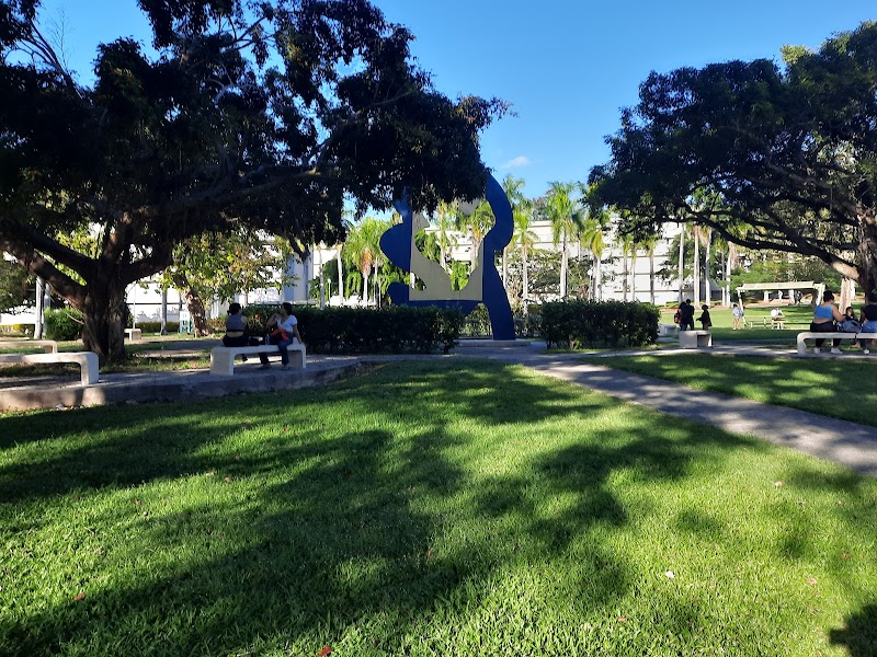 University of Puerto Rico-Mayaguez campus photo 2
