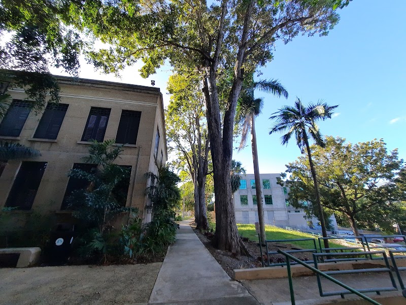 University of Puerto Rico-Mayaguez campus photo 5