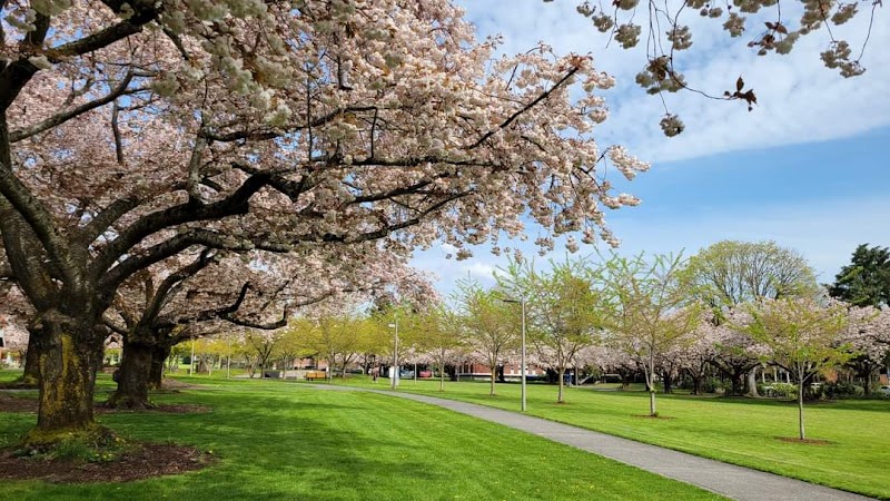 Clark College campus photo 2