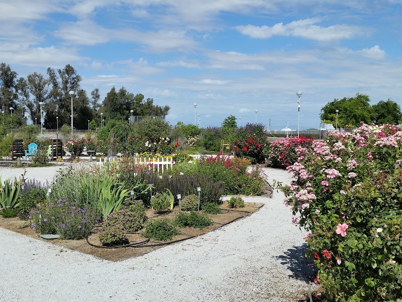 Madera Community College campus photo 5