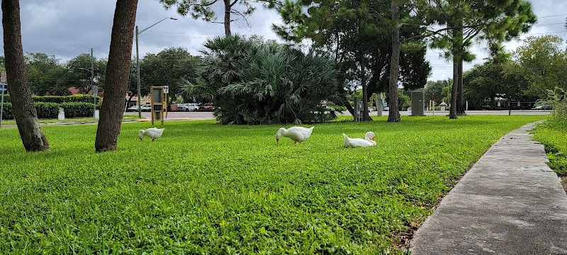 St Petersburg College campus photo 4