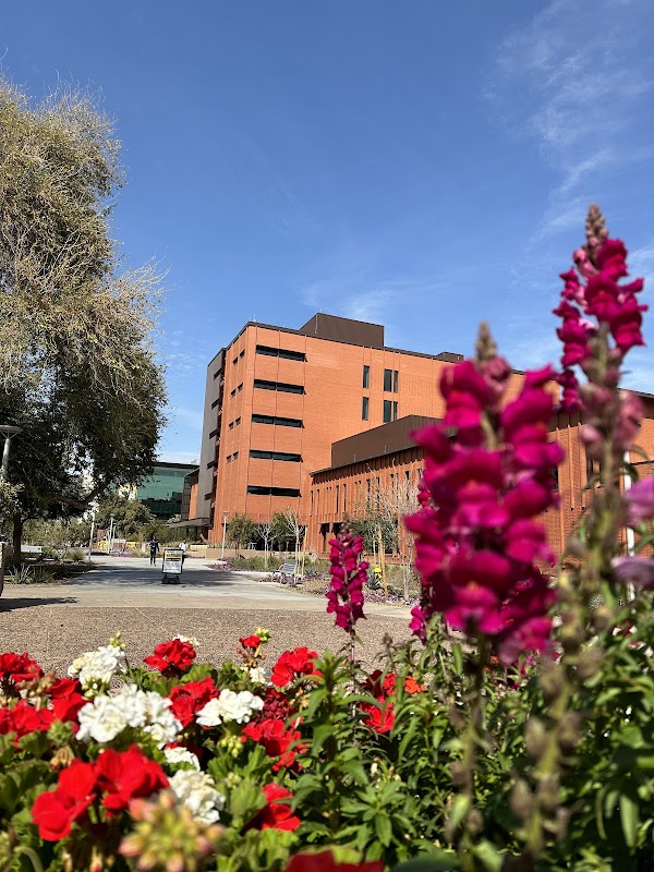 Arizona State University - The Gila Valley campus photo 5