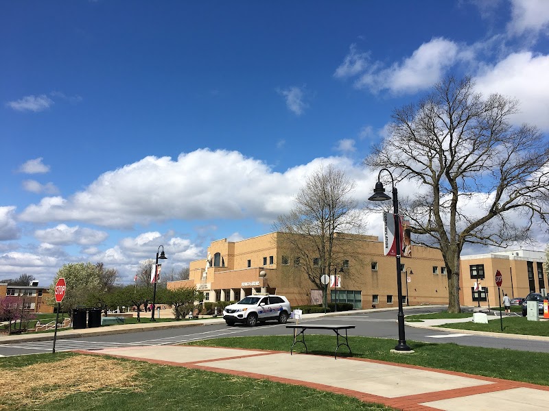 Alvernia University campus photo 3