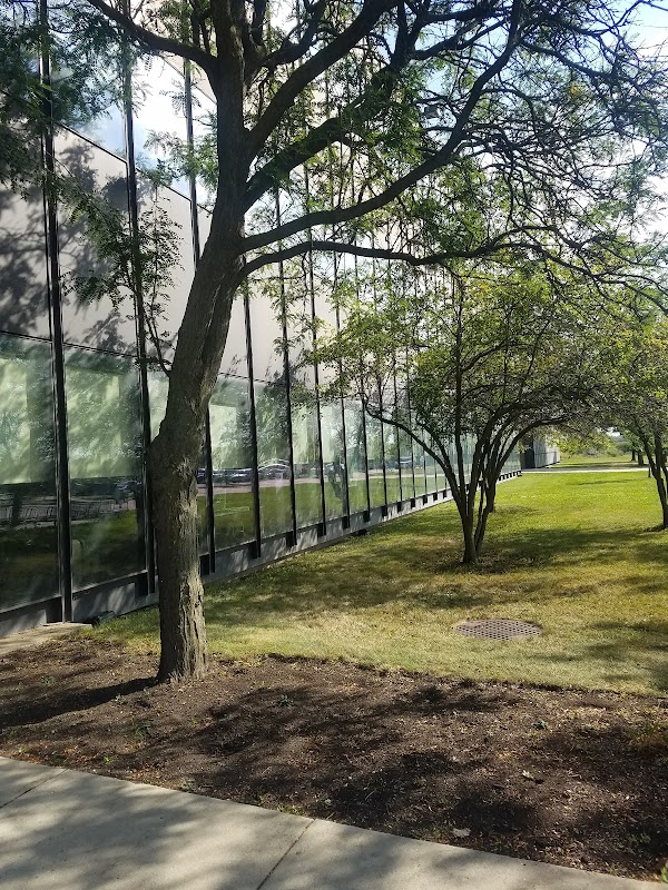City Colleges of Chicago-Olive-Harvey College campus photo 5