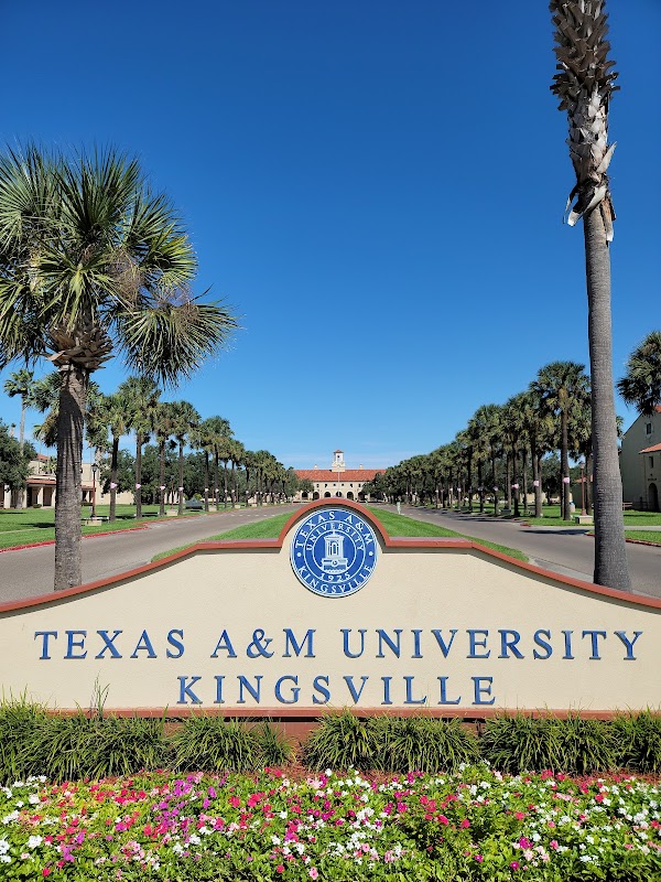Texas A & M University-Kingsville campus photo 3