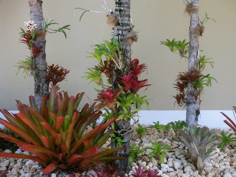 Inter American University of Puerto Rico-Fajardo campus photo 5