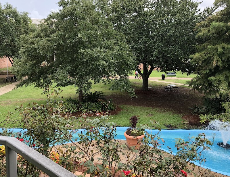 University of New Orleans campus photo 4