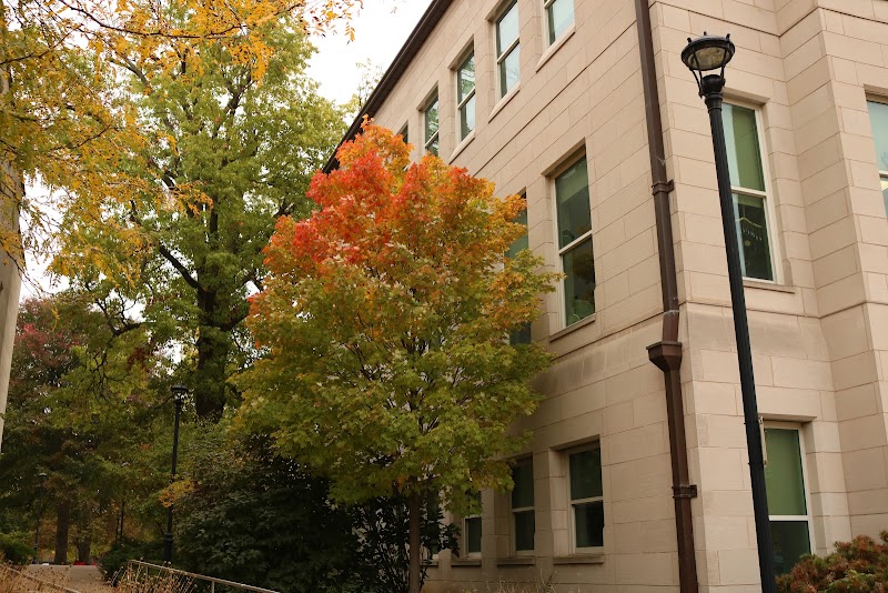 Bradley University campus photo 4