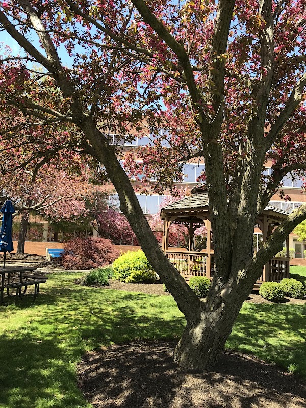 Holy Family University campus photo 3