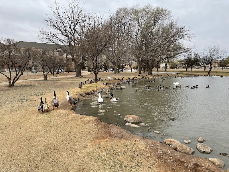 The University of Texas Permian Basin campus photo 4
