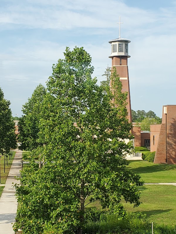 Virginia Wesleyan University campus photo 1