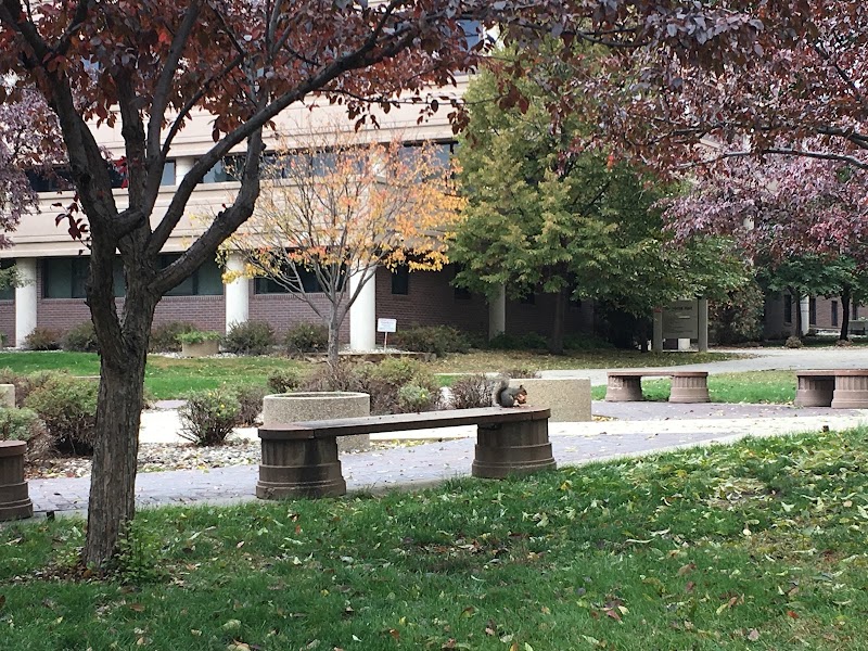 Minot State University campus photo 2