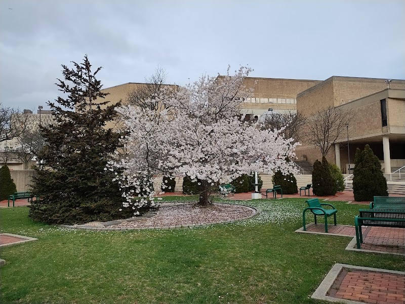 Essex County College campus photo 3