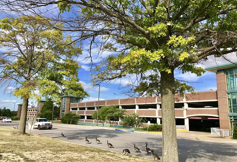 University of Missouri-St Louis campus photo 3