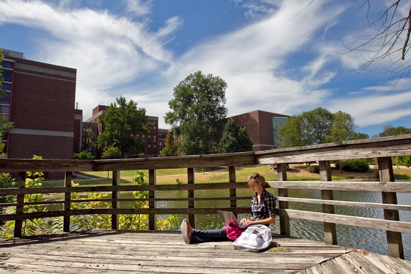 University of Missouri-St Louis campus photo 4