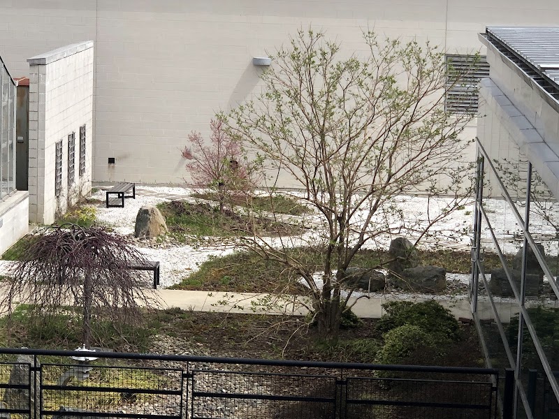 Naugatuck Valley Community College campus photo 2