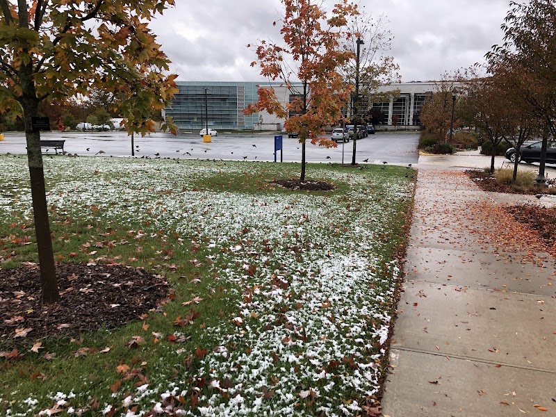 Naugatuck Valley Community College campus photo 5