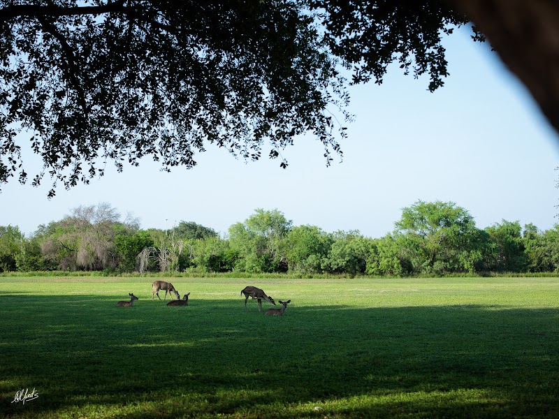 Texas A & M International University campus photo 3