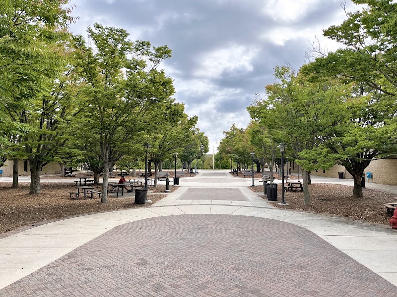 Anne Arundel Community College campus photo 4