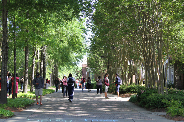 Hinds Community College campus photo 4