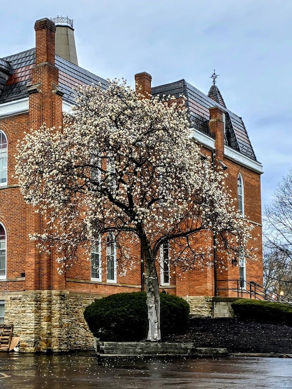 Otterbein University campus photo 3