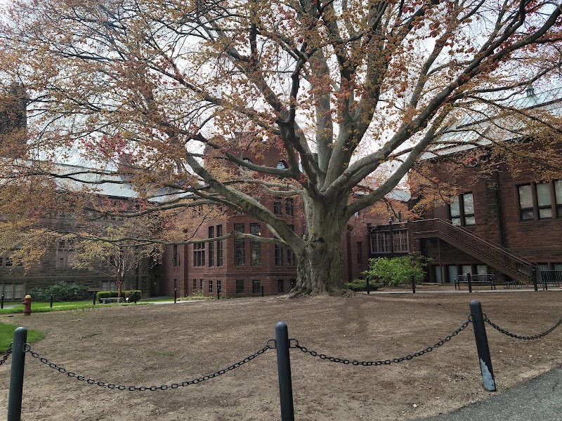 Mount Holyoke College campus photo 5