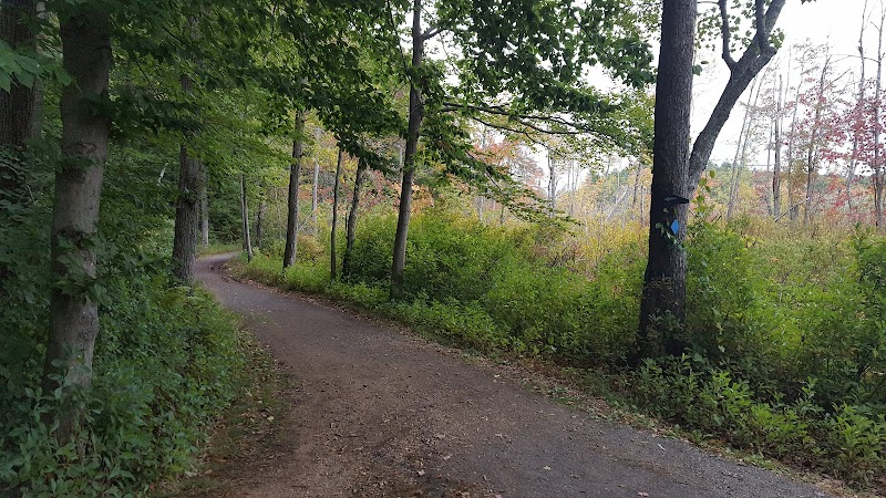 Gordon College campus photo 5