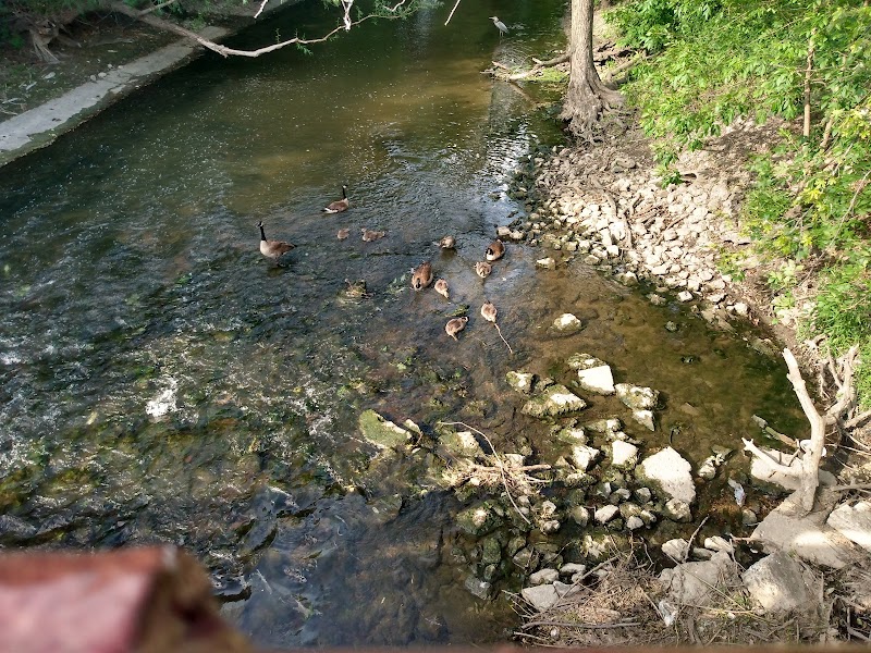 North Park University campus photo 4