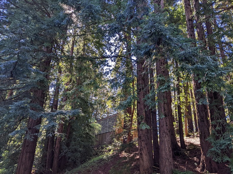 University of California-Santa Cruz campus photo 2