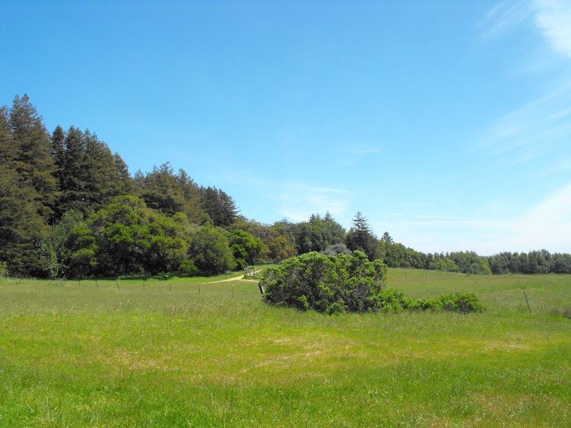 University of California-Santa Cruz campus photo 5