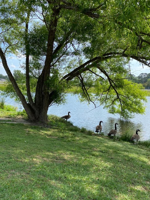 Central Alabama Community College campus photo 2