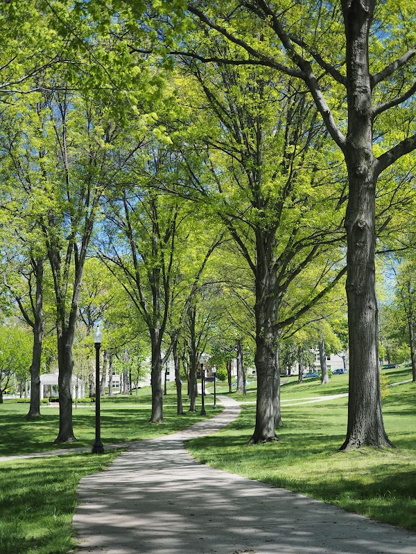 Kent State University at Kent campus photo 3