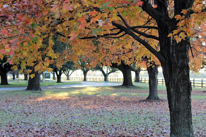 University of Mount Olive campus photo 2